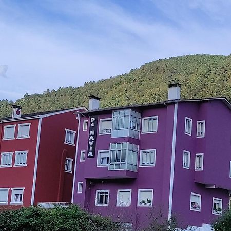 Pension Navia A Pontenova Екстер'єр фото